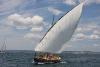 Latin Sail Clipper voiles
